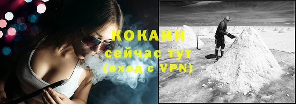 молекула духа Алексин