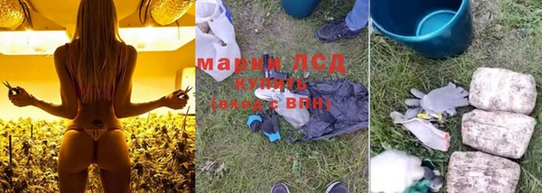 индика Алексеевка