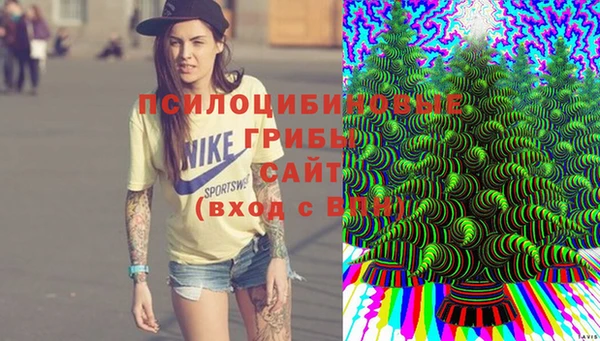 индика Алексеевка