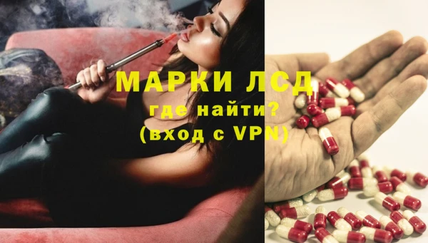 индика Алексеевка