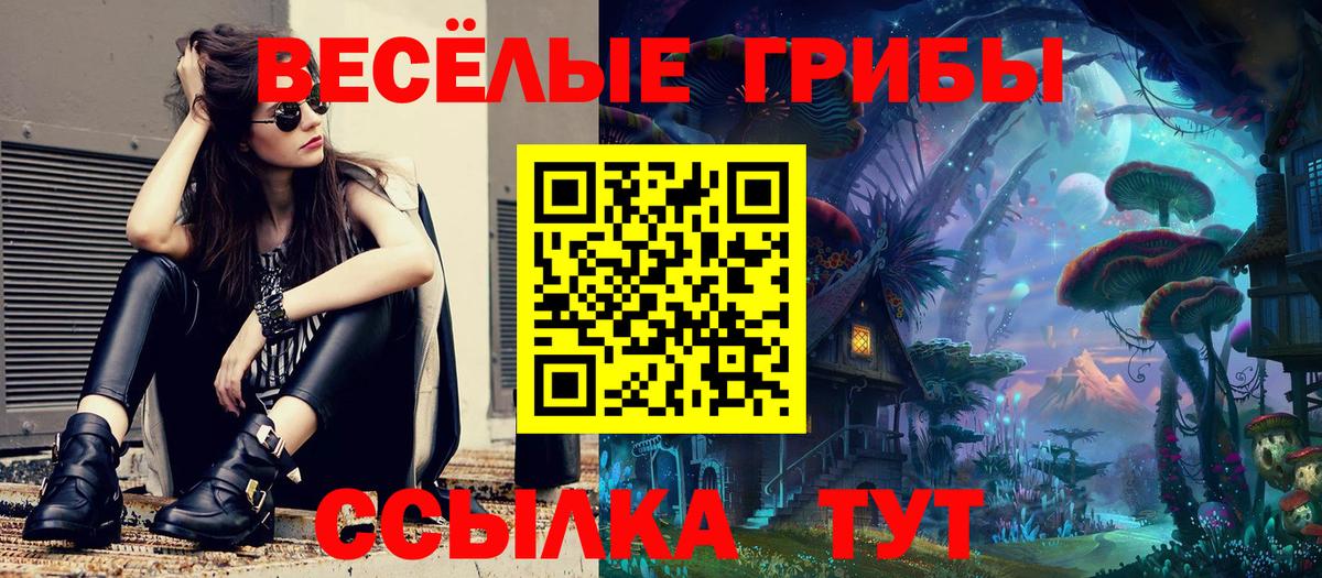 Кашира  как найти закладки  Вход с VPN  Галлюциногенные грибы GOLDEN TEACHER 